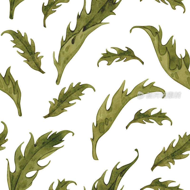 Vintage watercolor pattern with green leaves. Wild flowers hand drawn illustration. Meadow herbs on white background.